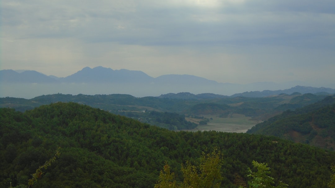 대전 계곡 펜션 BEST 7 | 프라이빗 & 힐링 숙소 추천 (2024 최신)