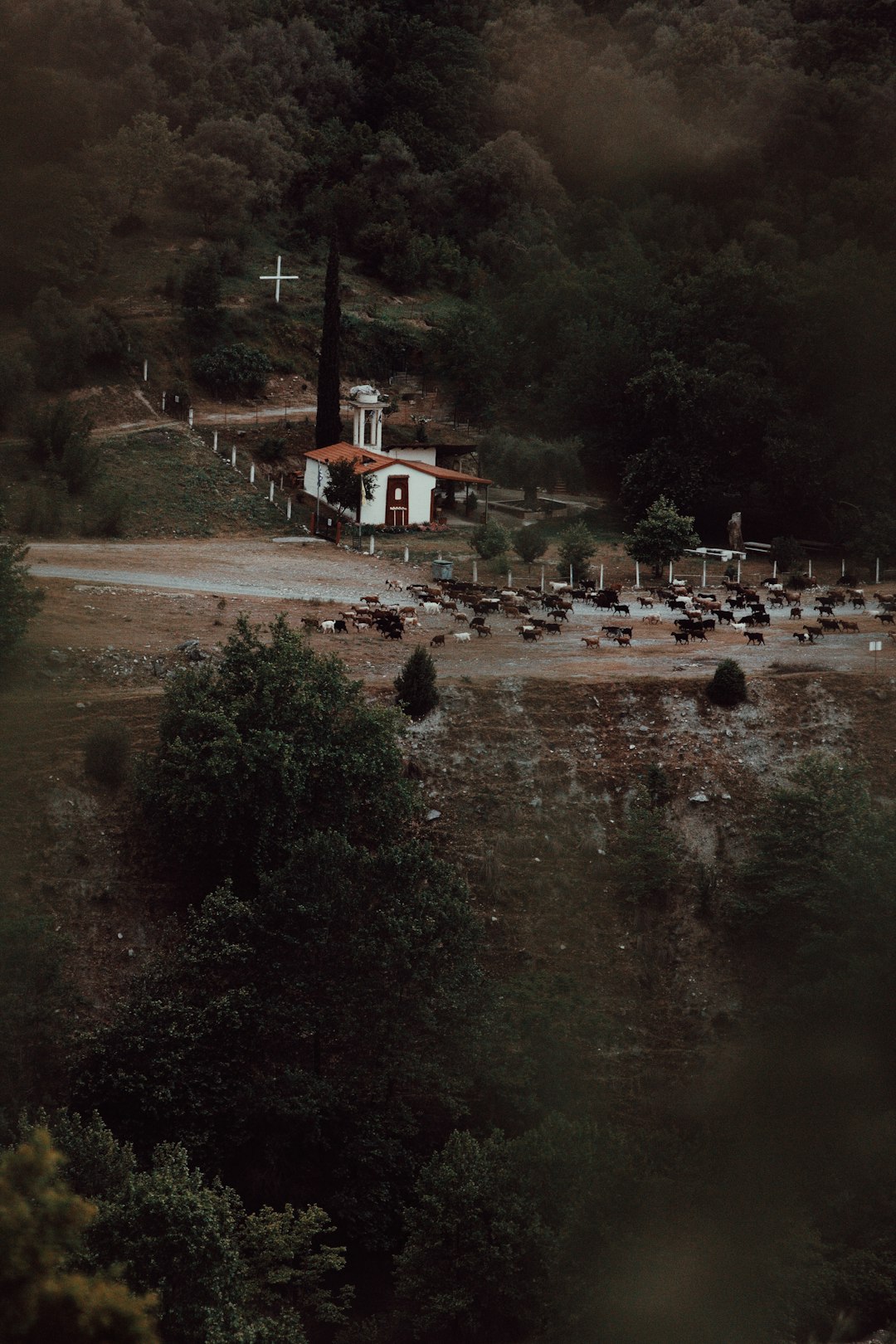 프로탄바이오 주가 전망 및 투자 전략: 핵심 기술 분석 및 미래 성장 가능성 심층 분석