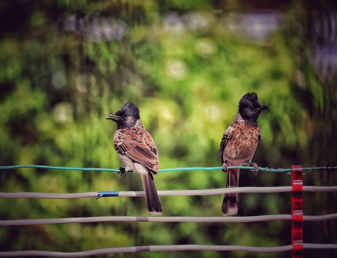 하동 숙소 추천 BEST 5: 쌍계사 인근 힐링 여행 완벽 가이드 (2024 최신)