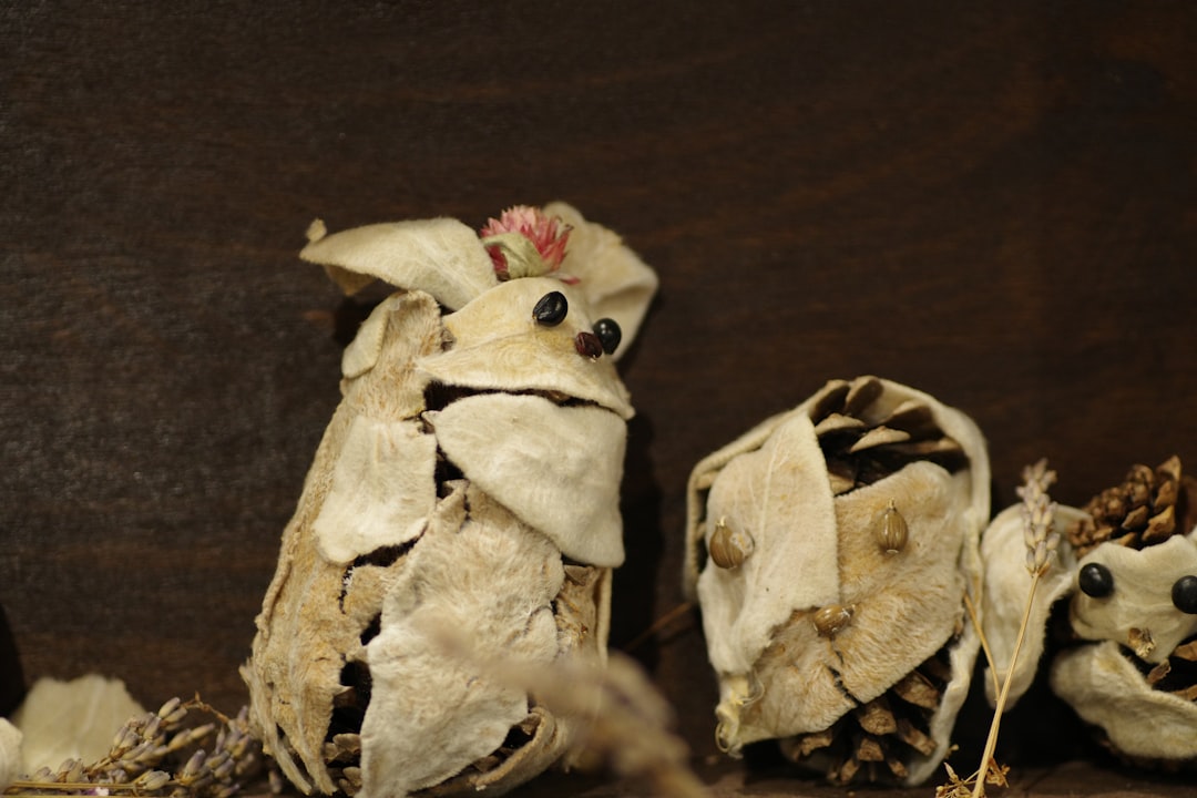 거북목 교정기 도매 완벽 가이드: 성공적인 사업 전략과 효과적인 제품 선택