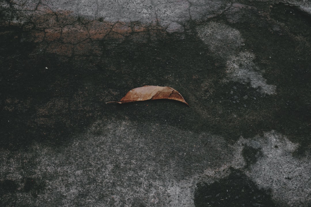 실패 없는 황금비율 간장 김치볶음밥 레시피: 초간단 맛보장