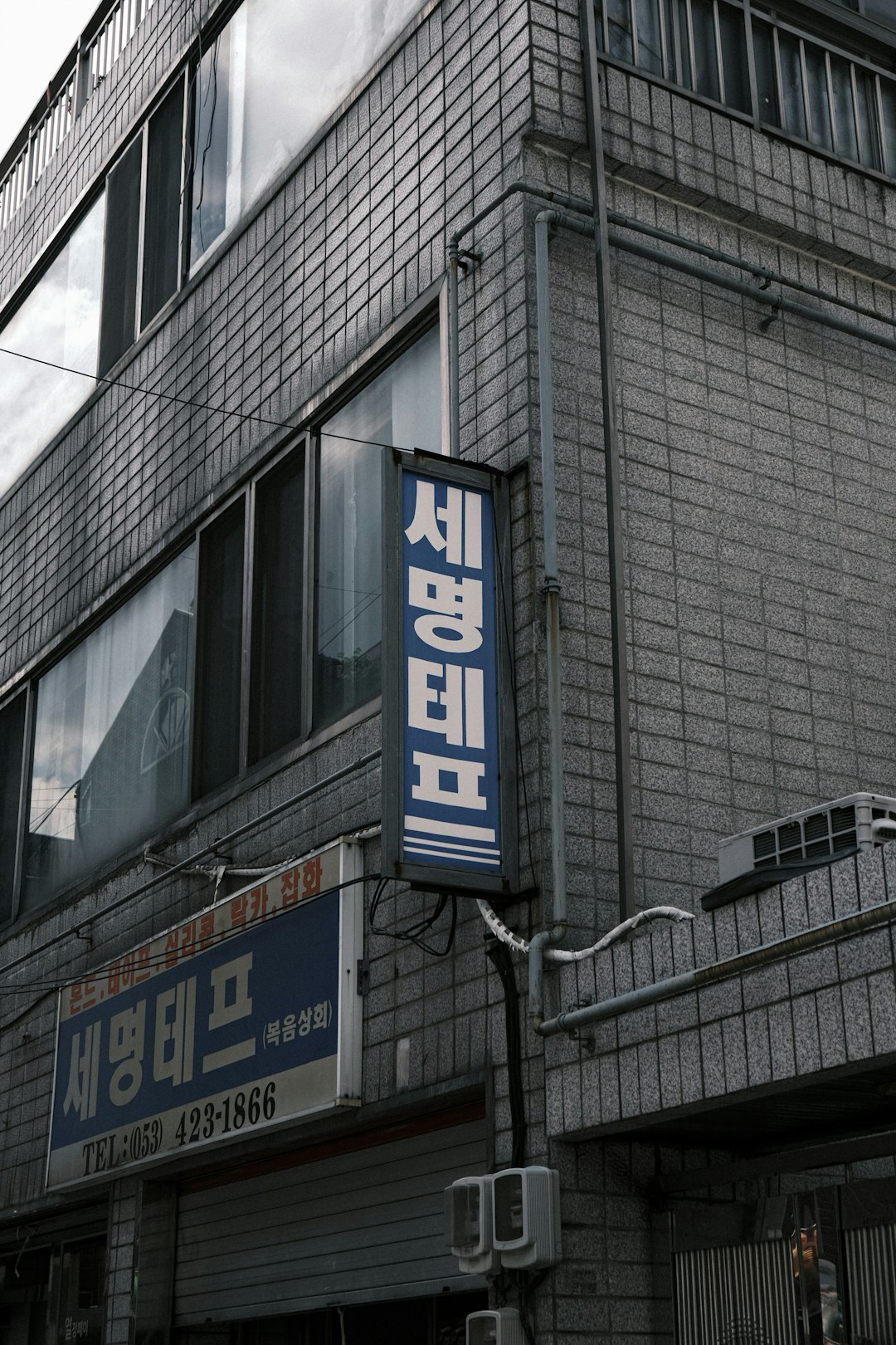 마음을 사로잡는 신년 인사 메일 제목 & 템플릿 (2025년)