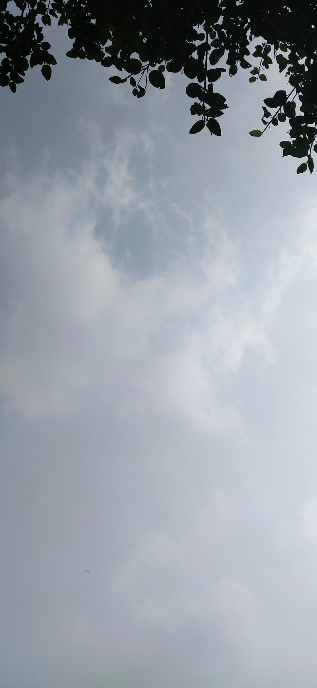 오쏘몰 이뮨, 왜 비쌀까? 가격 논란 완벽 해부 (성분, 효과, 대체재 비교)