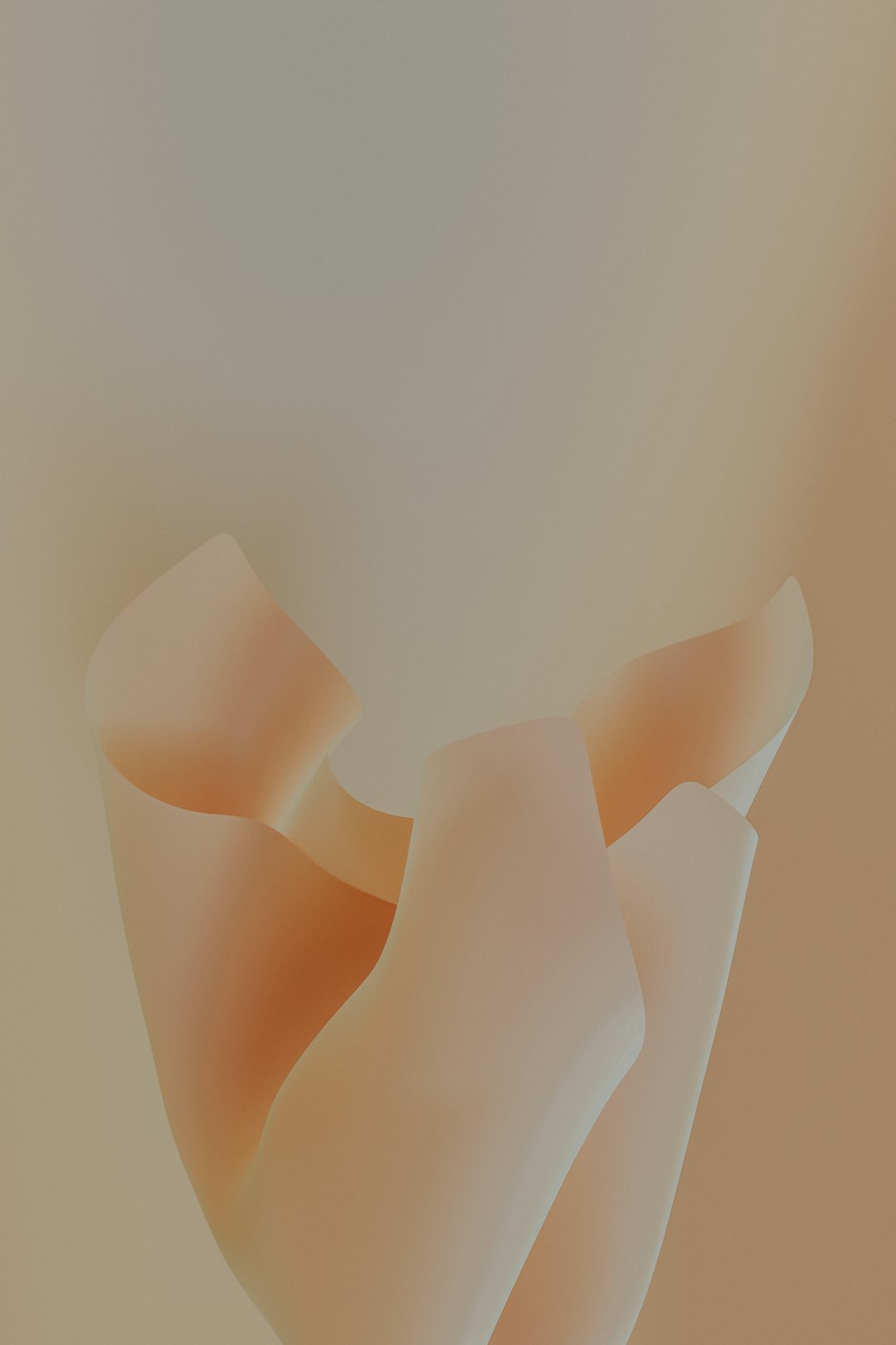 더플백 사이즈 완벽 가이드: 여행, 운동, 이사를 위한 최적의 선택!