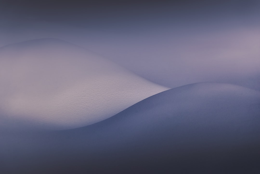 육전 완전 정복: 역사, 레시피, 창업 비법 & 