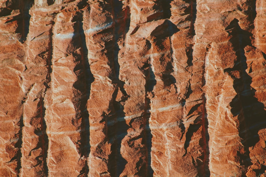 모스카토 다스티 종류별 완벽 분석 & 선택 가이드 (2024 최신)