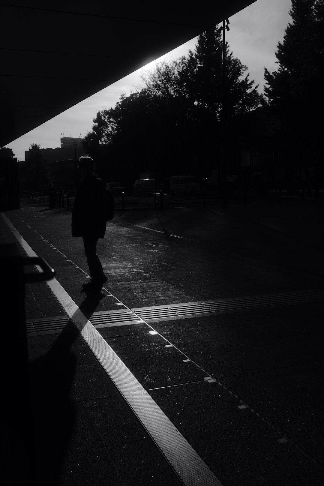 대학생 공감 200% 현실 반영! 레전드 대학일기 짤 모음 & 활용법 (2024 최신)