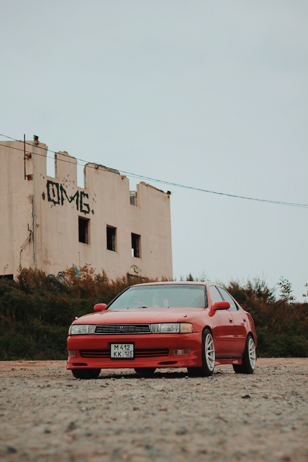 속 편한 하루를 위한 선택: 위에 좋은 차 BEST 7 & 효과적인 섭취 방법