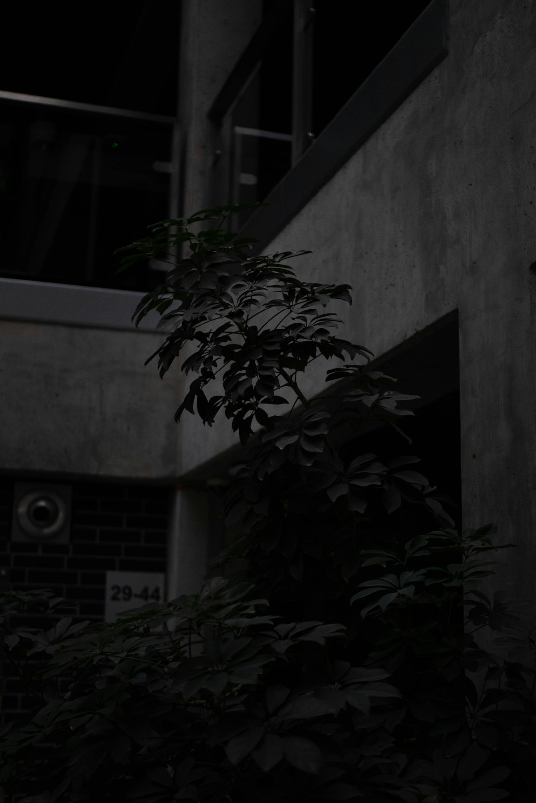 우리 아이 스타일 완성! 스톤아일랜드 키즈 바지 완벽 가이드: 종류, 사이즈, 코디, 관리법 총정리