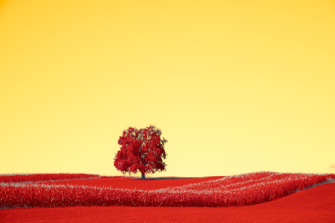 혈전이란? 원인, 증상, 치료, 예방 완벽 가이드 [SEO 최적화]