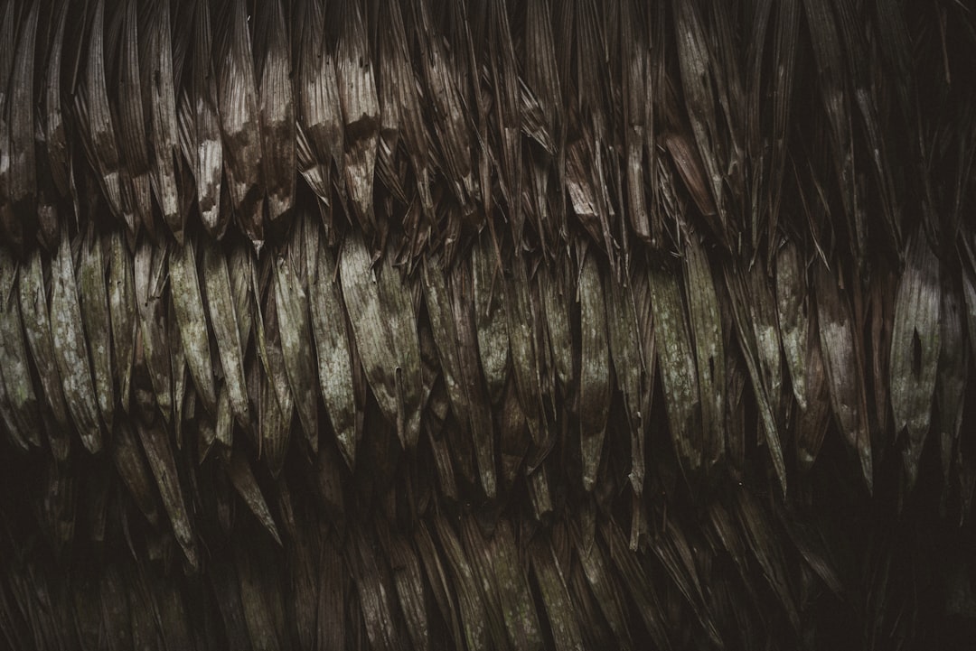 넓은 부츠筒 고민 끝! kozaki ryłko szeroka cholewka 완벽 가이드