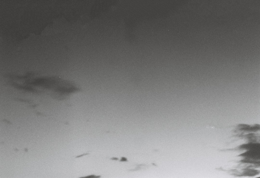 네이버 블로그 페이지업 완벽 가이드: 조회수와 방문자 폭발시키는 핵심 전략