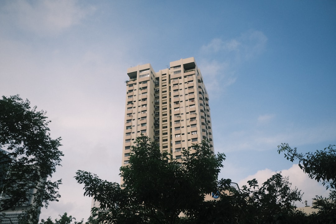 홍삼 Compound K 효능 완벽 분석: 흡수율, 부작용, 복용법 총정리 (2024 최신)