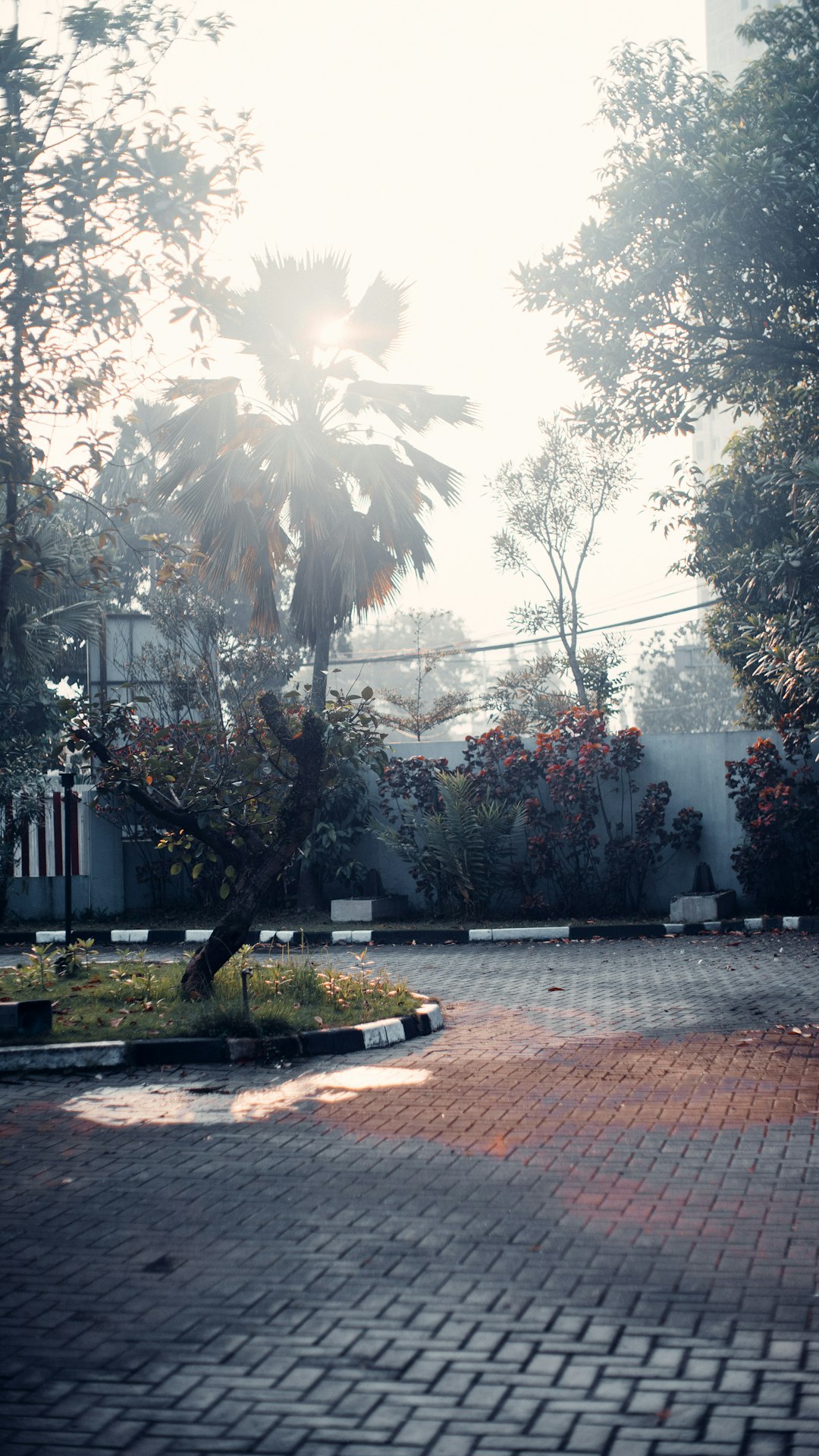 홍삼 Compound K 효능 완벽 분석: 흡수율, 부작용, 복용법 총정리 (2024 최신)