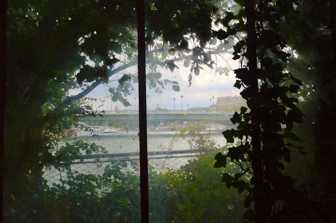 멜론 8월 4주차 다운로드 순위 분석: 최신 트렌드 & 숨겨진 명곡 추천