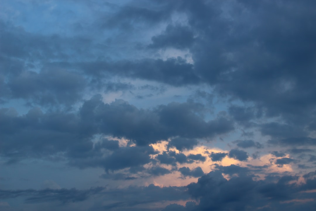 멜론 8월 4주차 다운로드 순위 분석: 최신 트렌드 & 숨겨진 명곡 추천