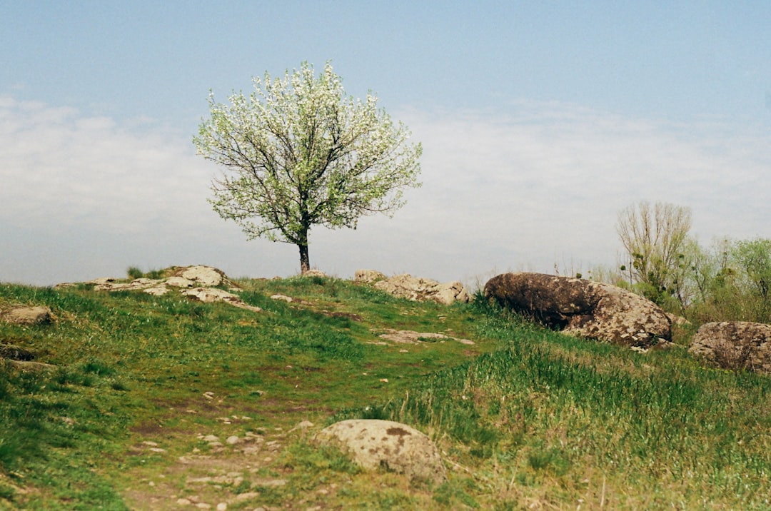 프리미엄 거실의 완성: 한샘 바흐 소파 완벽 분석 및 선택 가이드 (2024 최신)