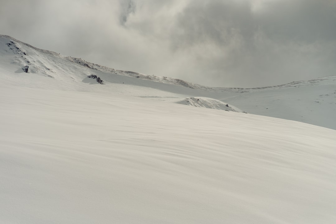 입에서 살살 녹는 황홀경, 스키야키82 완벽 분석: 맛, 가격, 후기 총정리 (ft. 최적 레시피)