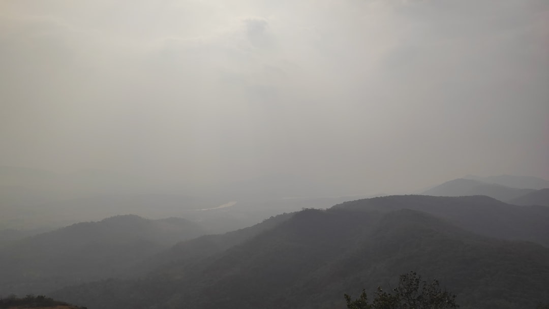 탁 트인 절경! 태백 바람의 언덕 완벽 가이드: 숨겨진 명소부터 인생샷 스팟까지