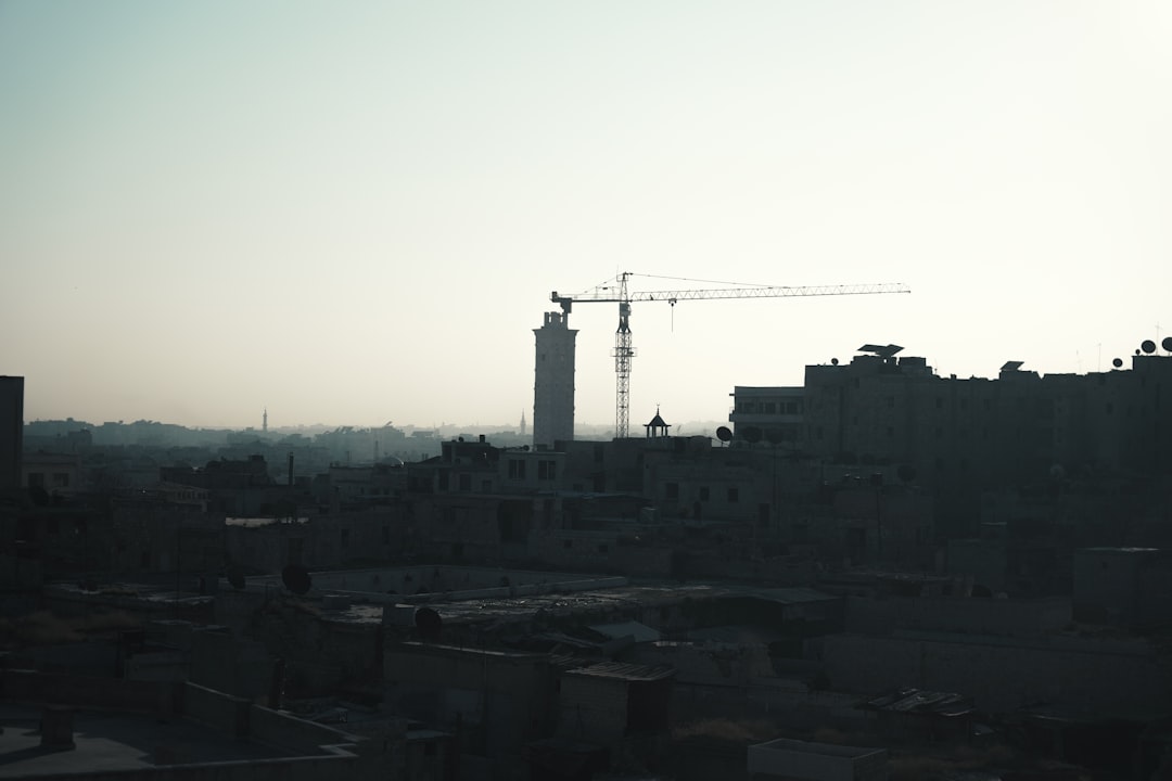 민들레대포 효능, 부작용, 만드는 법 완벽 가이드 (2024 최신)