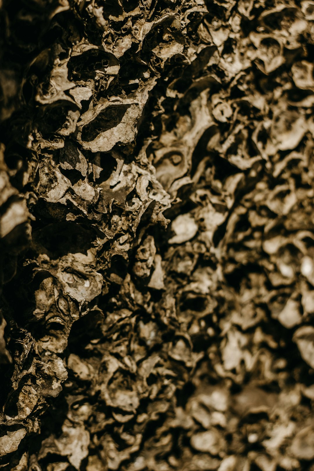 에스티로더 갈색병: 피부 시간을 되돌리는 마법, 효과와 사용법 완벽 분석 (SEO 최적화)