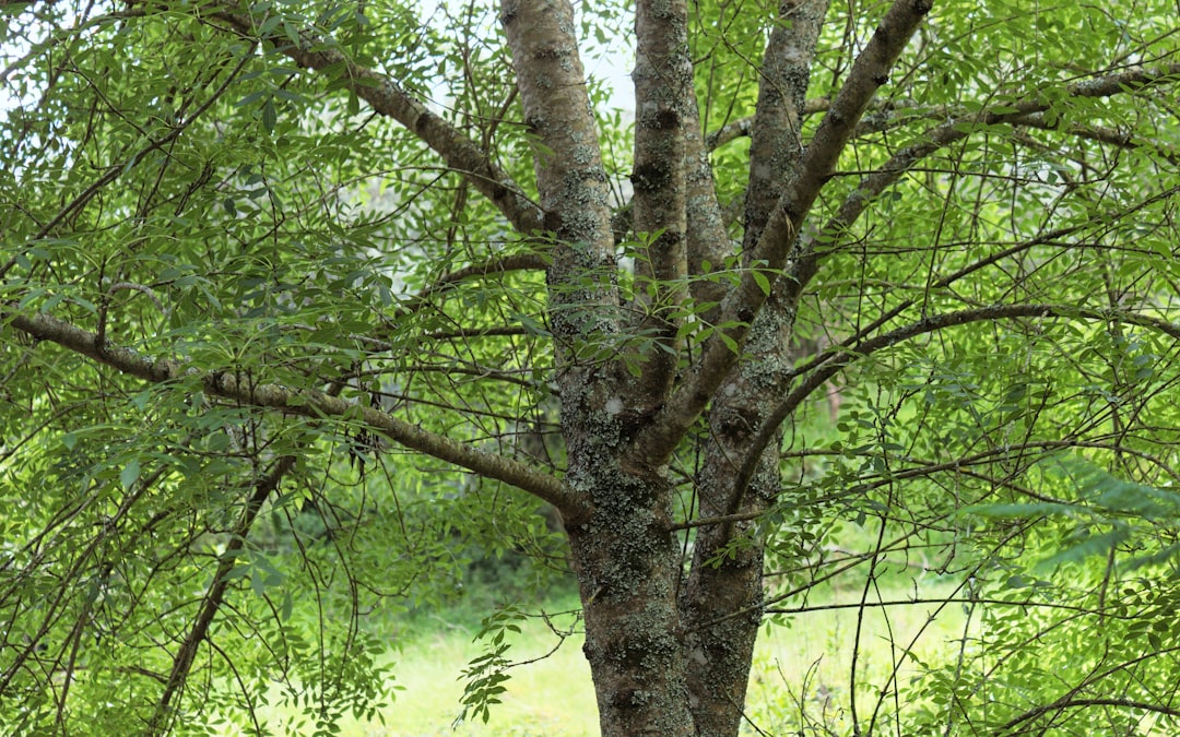 와이너리 완벽 가이드: 종류, 선택, 방문 팁 & 추천 와이너리