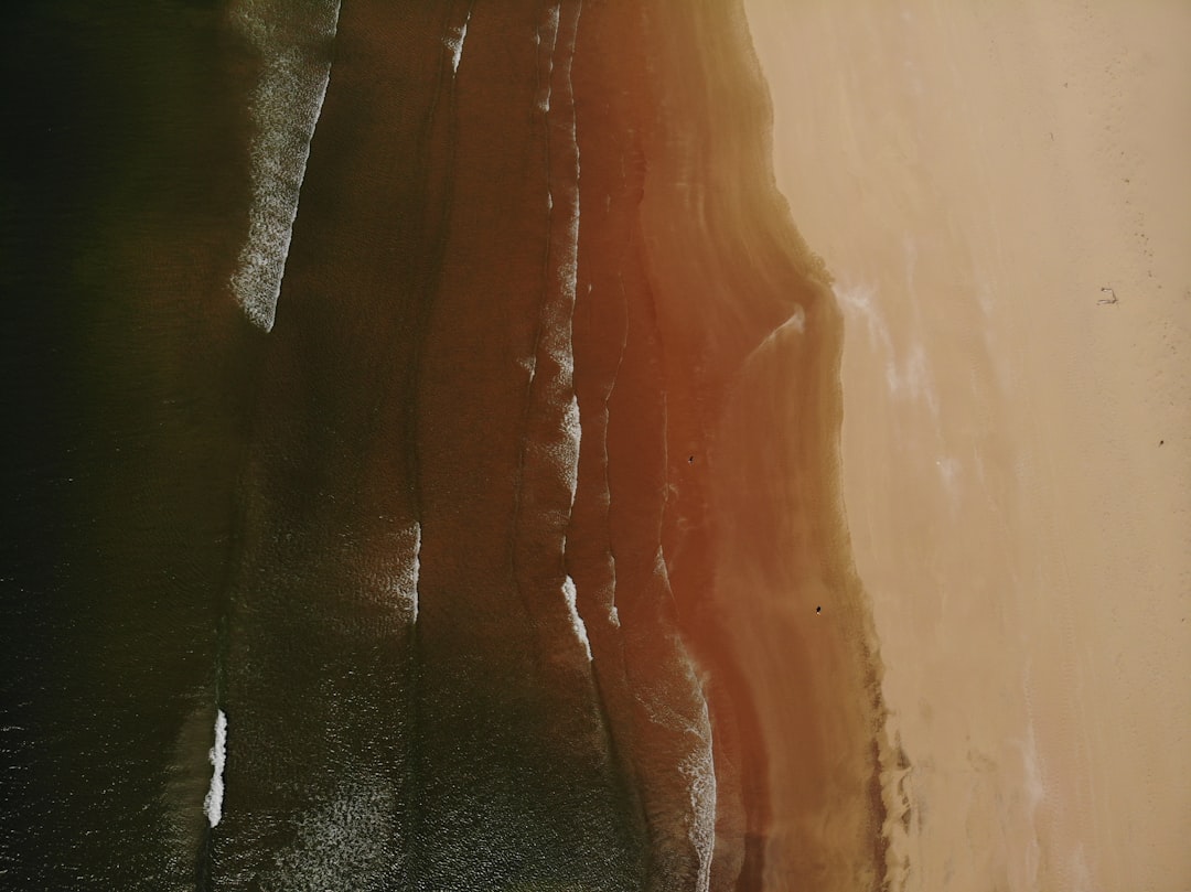 주사위 굴리기 완벽 분석: 확률, 전략, 그리고 숨겨진 팁 대방출