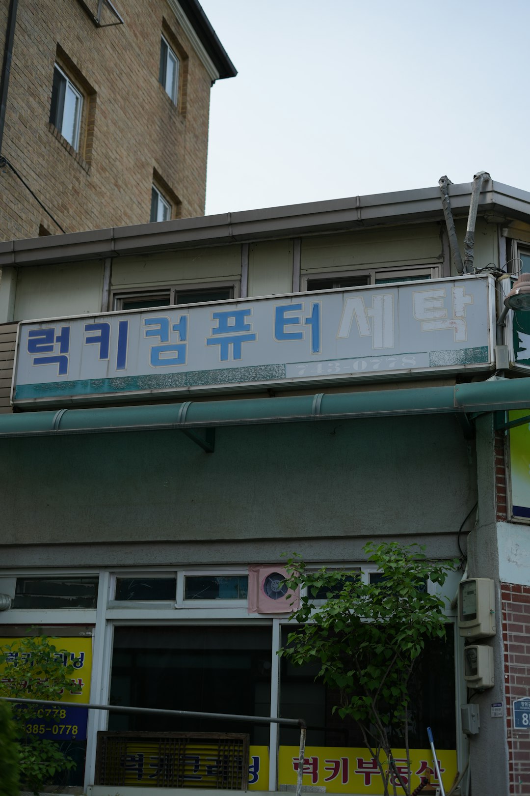 송리단길 메밀 맛집 추천: 현지인이 강추하는 인생 메밀국수