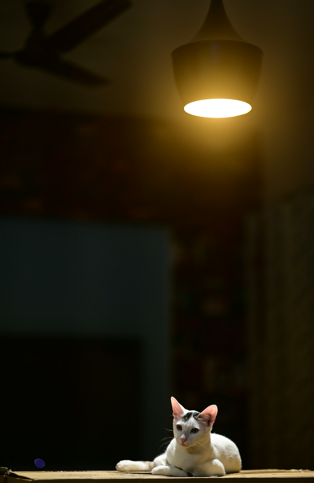 가산디지털단지 양고기 맛집 BEST 5: 미식가가 추천하는 인생 양갈비 & 양꼬치