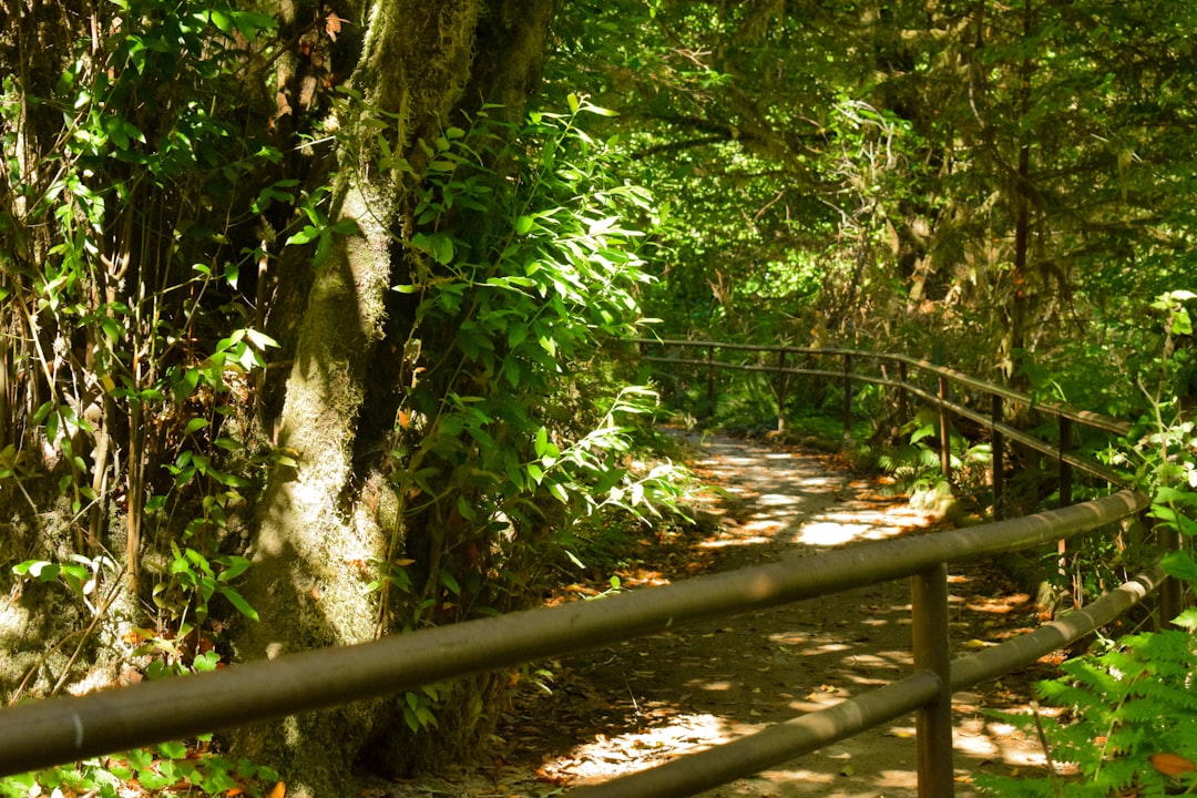 한라산 등반 예약 완벽 가이드: 코스 추천, 준비물, 탐방예약시스템 활용법 (2024 최신)