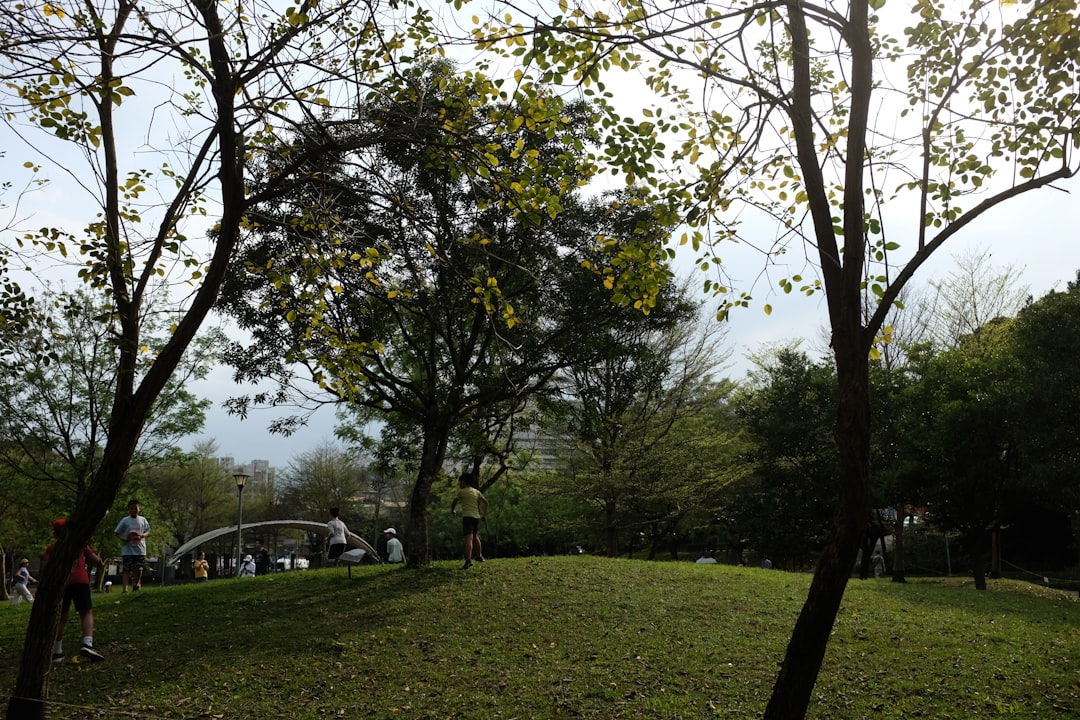 울산 대왕암공원 캠핑장 완벽 가이드: 예약, 명당, 주변 관광 총정리