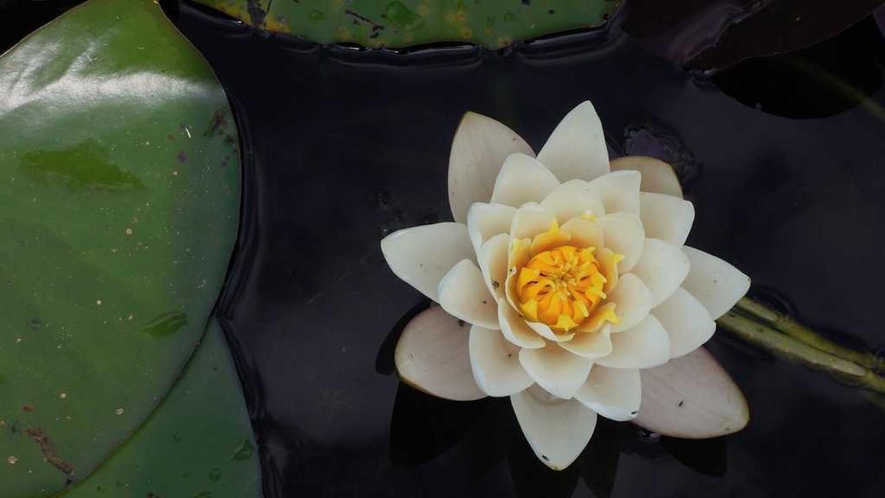 미움받을 용기 명대사 모음: 인간관계의 자유를 찾는 아들러 심리학 핵심 요약