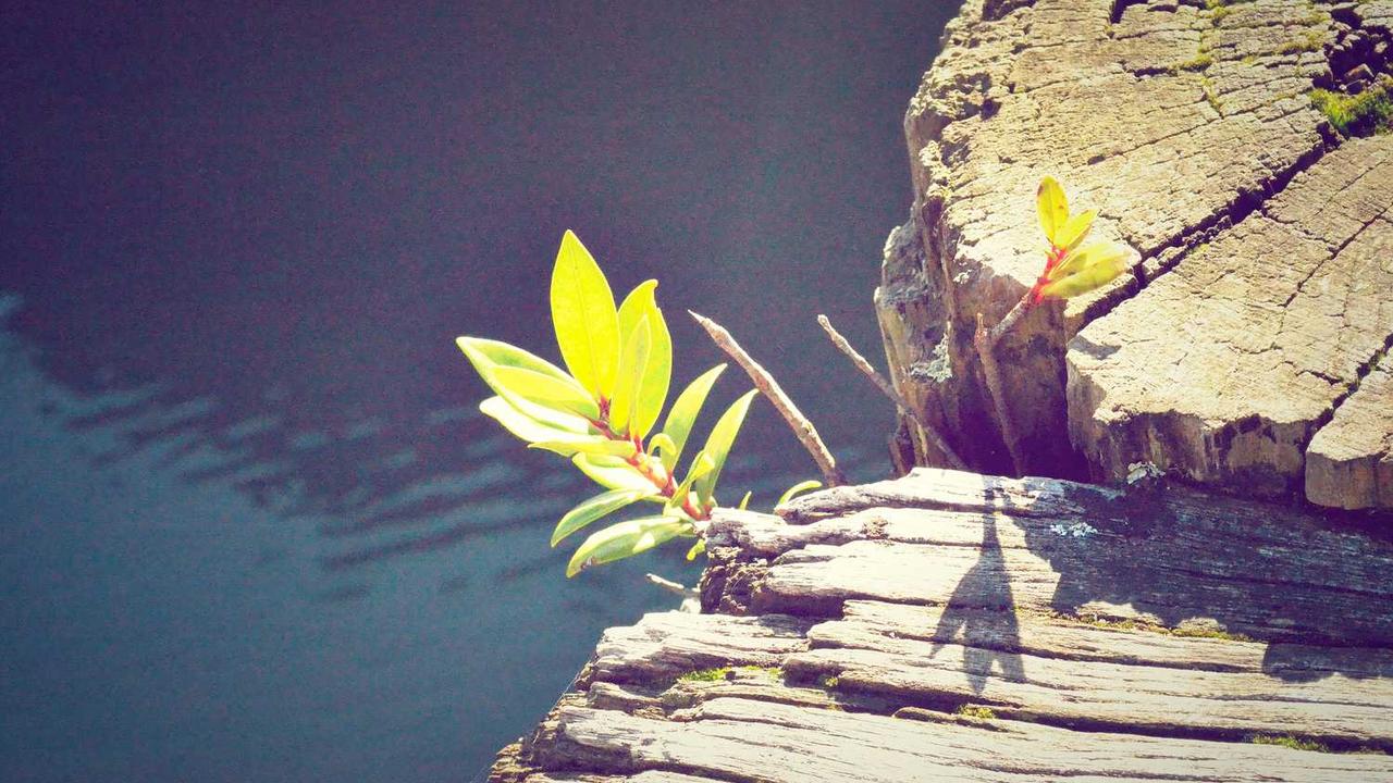 서울시 시의원 명단 조회 및 11대 의회 지역구별 현황 총정리 (2024-2025)