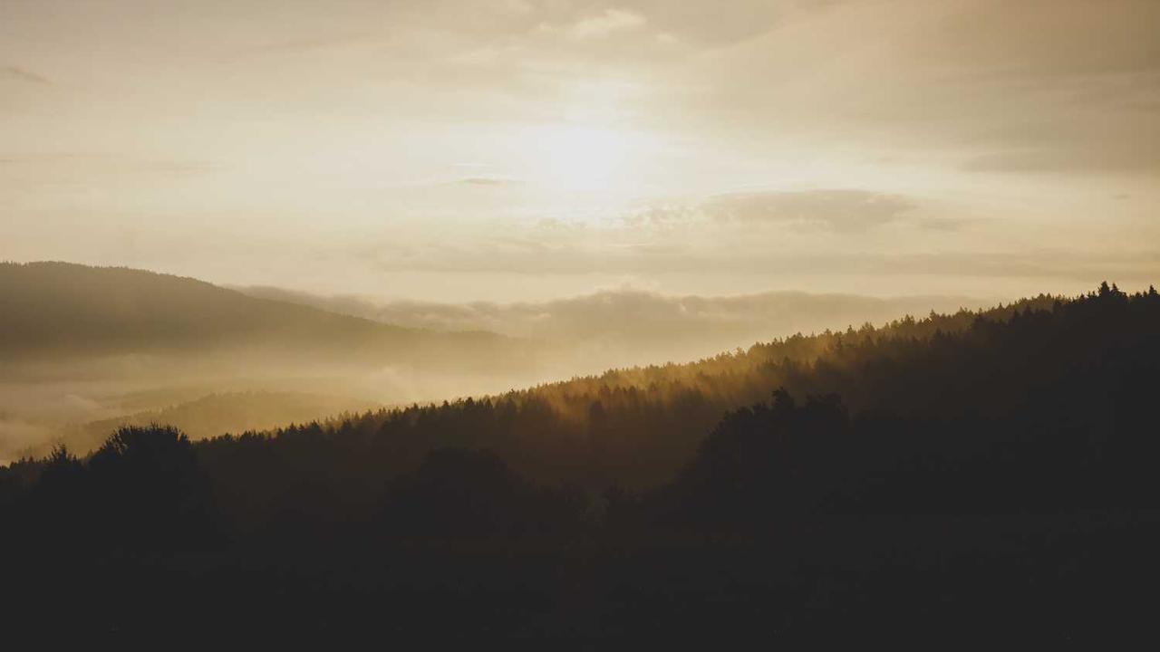 씨엔블루 이정신 이상형 완벽 분석: 외모부터 성격, 결혼관까지 (최신 종합)