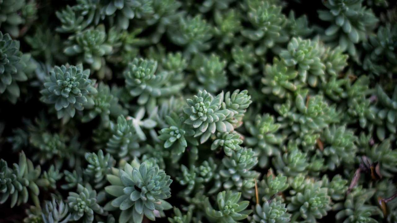 토익 파트5 양치기 공부법: 단기간 900점 달성을 위한 시간 단축 및 오답 분석 전략