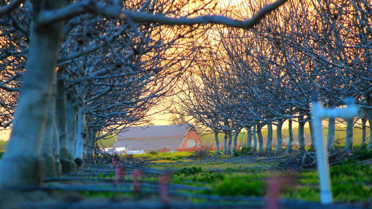 BMW M240i 가격 분석 및 구매 가이드: 7천만 원대 6기통의 유일한 대안