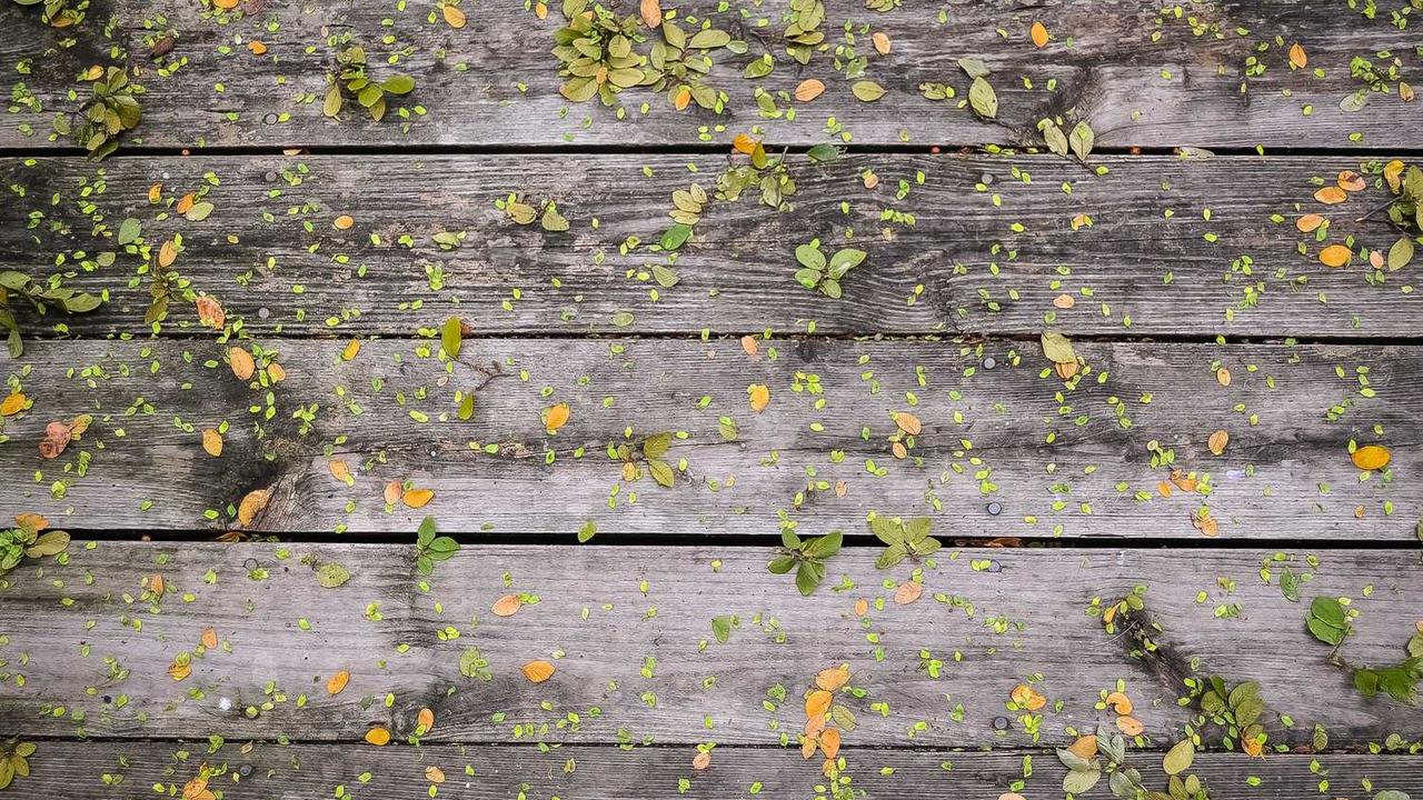 KF80 vs KN95 마스크 차이점 완벽 비교: 미세먼지와 호흡기 보호, 나에게 맞는 선택은?