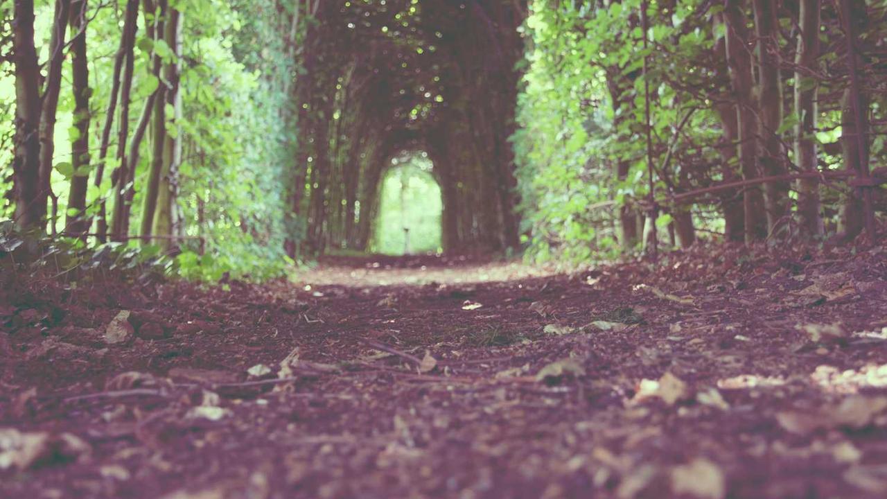 조립PC 윈도우 구매 완벽 가이드: FPP, ESD, DSP 차이점과 호갱 탈출법