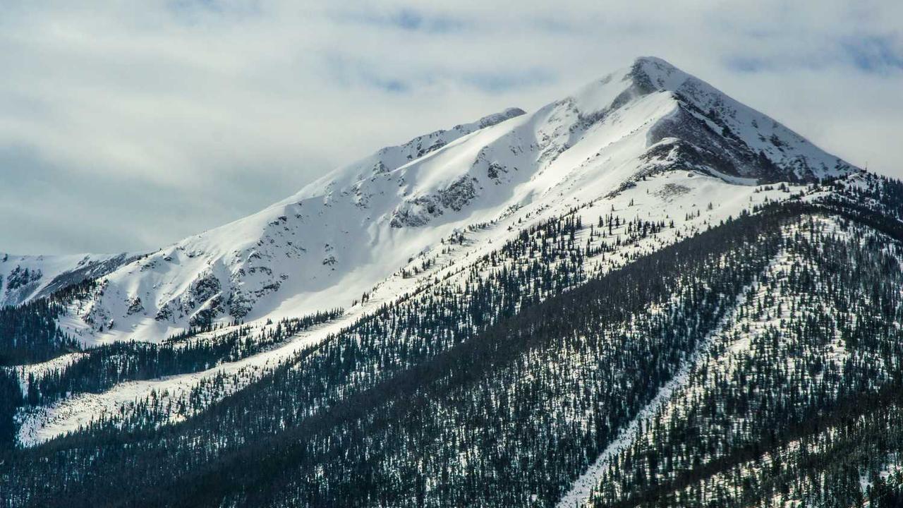 갤럭시 S22 삼성닷컴 구매 가이드: 2026년에도 여전히 매력적인 선택일까?