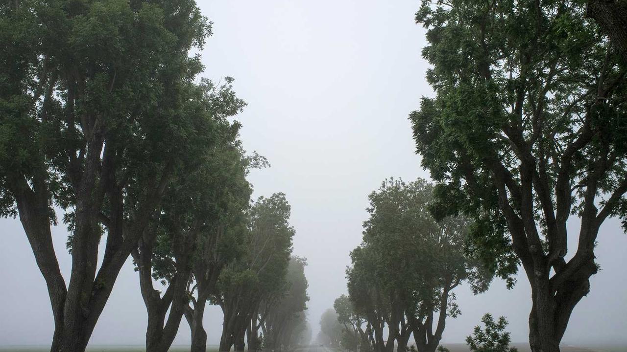 갤럭시 S22 삼성닷컴 구매 가이드: 2026년에도 여전히 매력적인 선택일까?