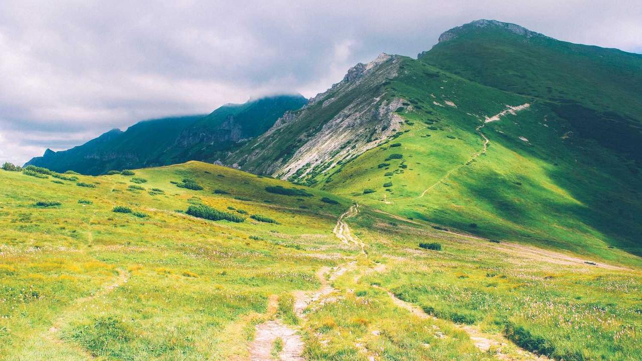 가성비 스테이크의 끝판왕! 실패 없는 척아이롤 고르는 법 및 부위별 특징 완벽 정리