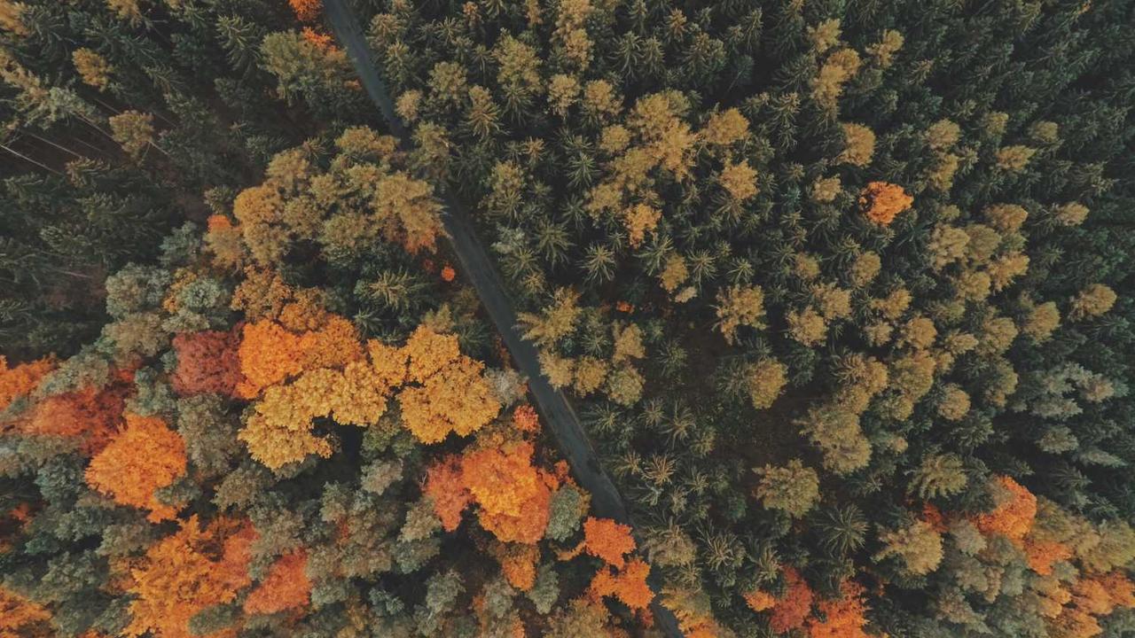 자전거 페달 교체 방법: 나사 방향만 알면 5분 만에 끝내는 초보자 자가 정비 가이드