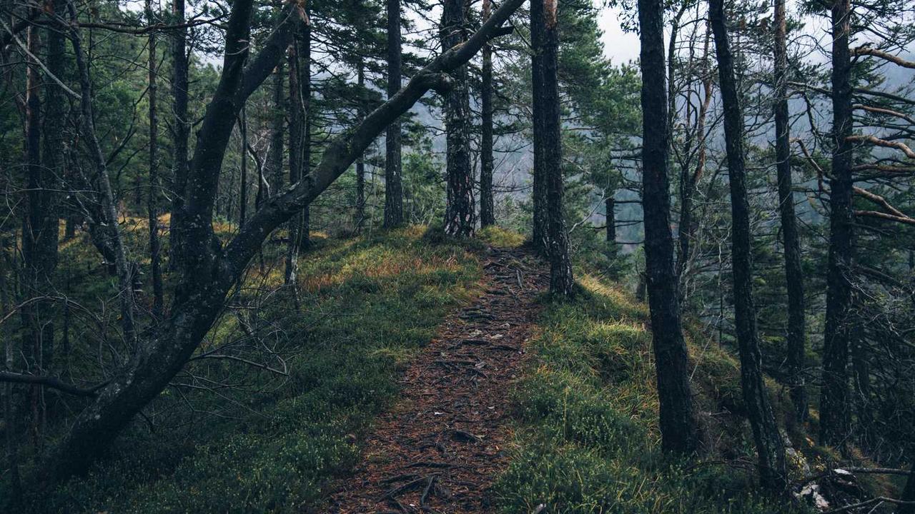 [인천해경 태풍 대비] 서해안 선박 안전과 해양 사고 예방을 위한 완벽 가이드