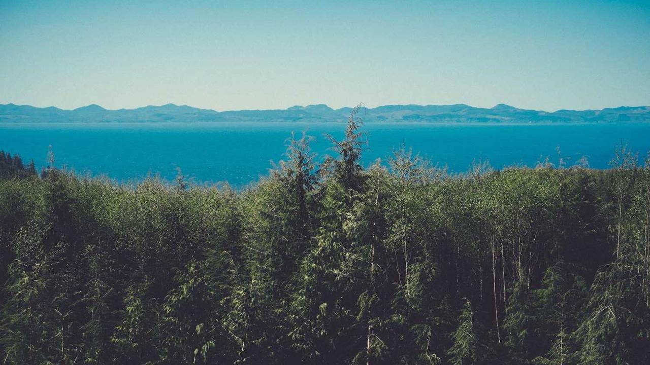 중국 현지의 맛 그대로! 샤오춘뎬(小串店) 완벽 가이드: 메뉴 추천부터 맛있게 즐기는 팁까지