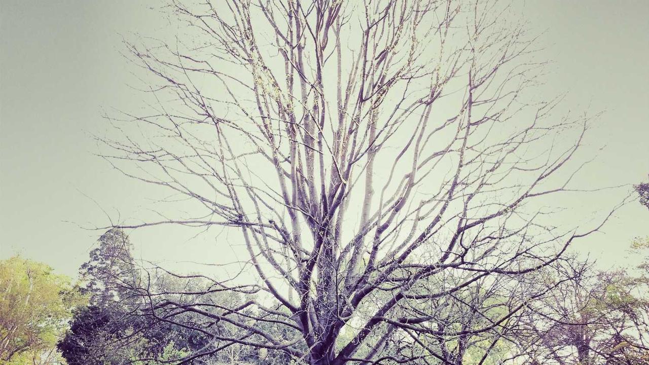 부산 강릉 KTX 가격 및 환승 완벽 가이드: 가장 빠르게 가는 법과 예매 꿀팁