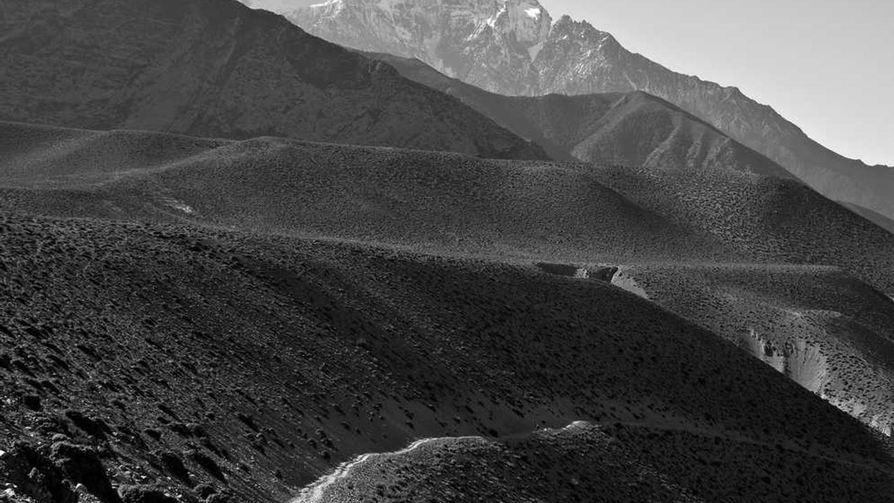 대만달러(TWD) 환율 전망과 환전 꿀팁: 수수료 0원으로 대만 여행 준비하는 법 (2026 최신)