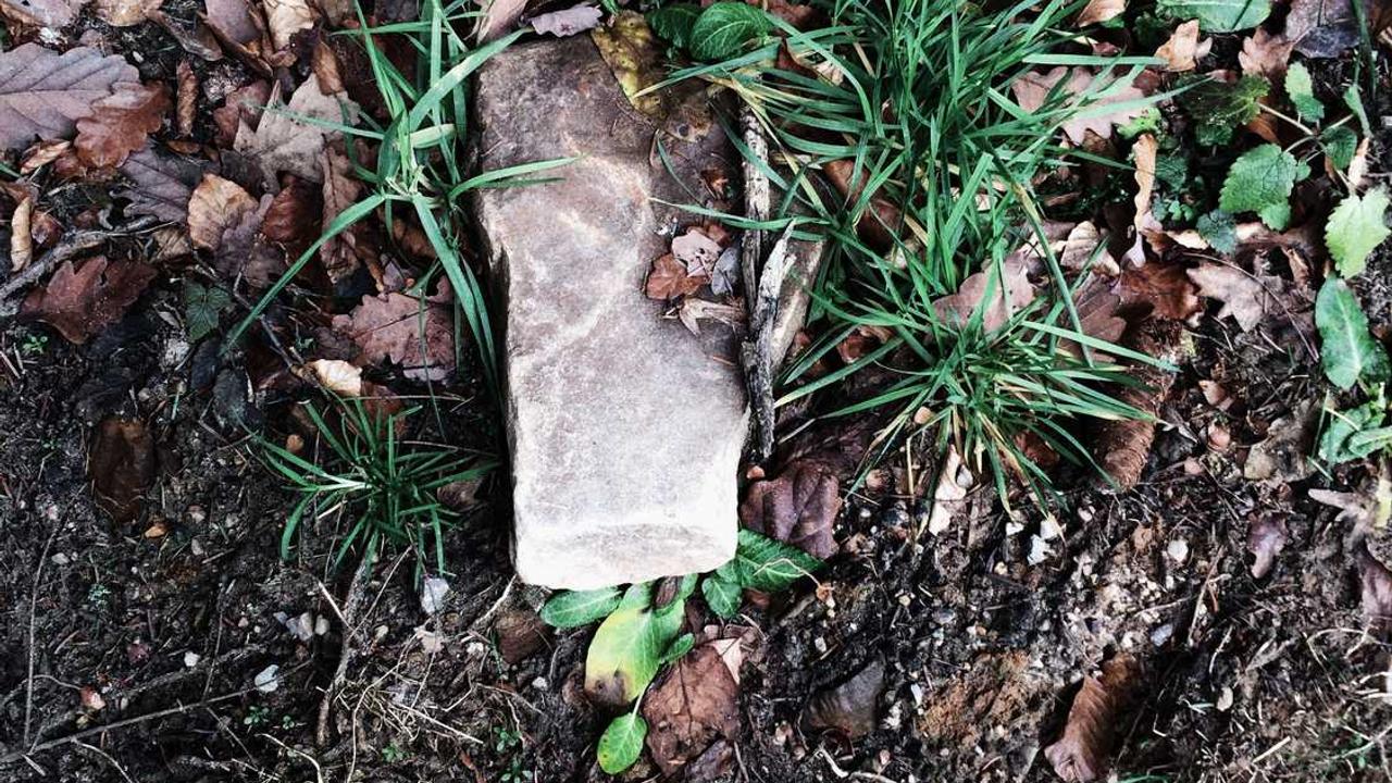 라트비아 여자 선수: 세계 무대를 장악한 발트해의 여전사들 TOP 5와 성공 비결