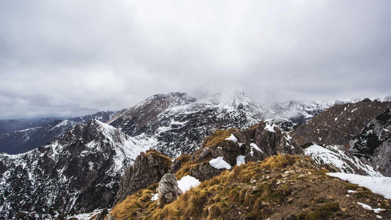 집에서도 레스토랑의 맛을! 실패 없는 양송이버섯 베이컨 구이 레시피와 핵심 비법