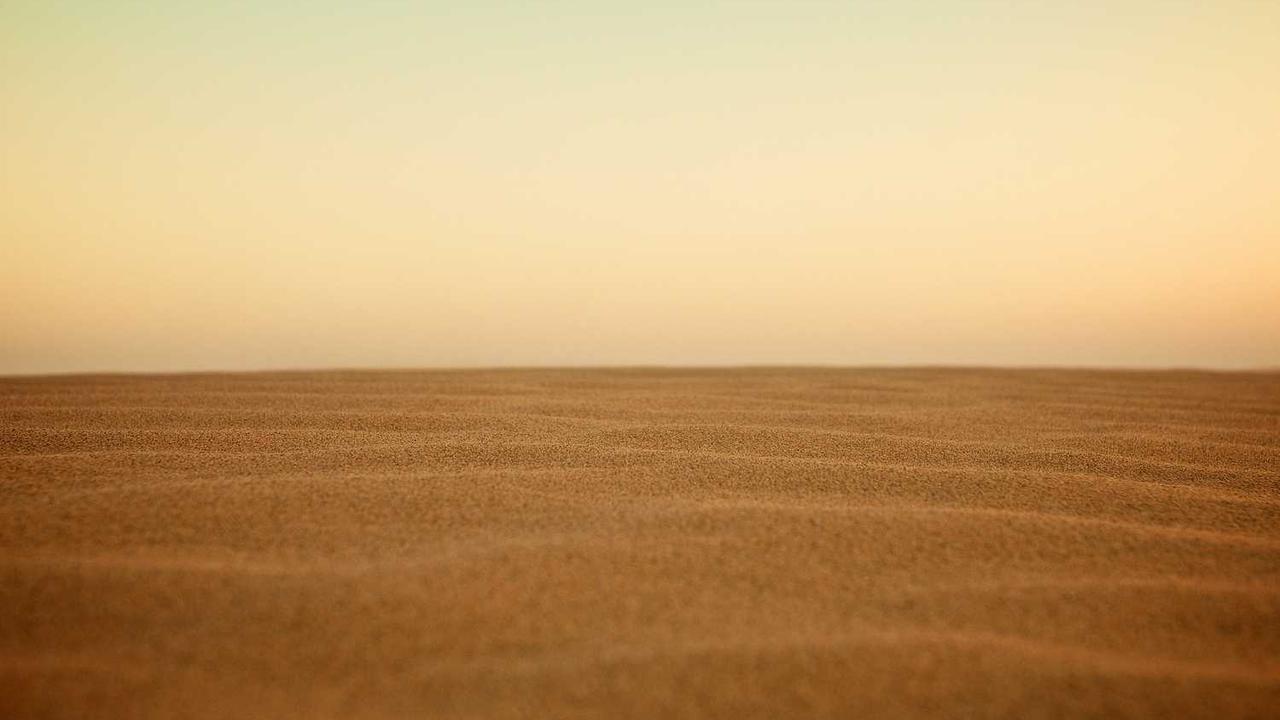 집에서도 레스토랑의 맛을! 실패 없는 양송이버섯 베이컨 구이 레시피와 핵심 비법