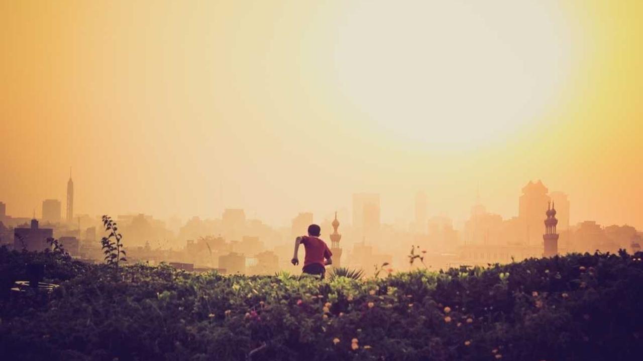 샤오미 체중계 정확도 정말 괜찮을까? 오차 줄이는 5가지 비결과 솔직 리뷰